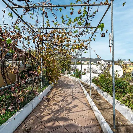 Gorgeous In * ואלסקיו