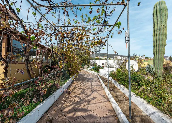 Gorgeous In * ואלסקיו